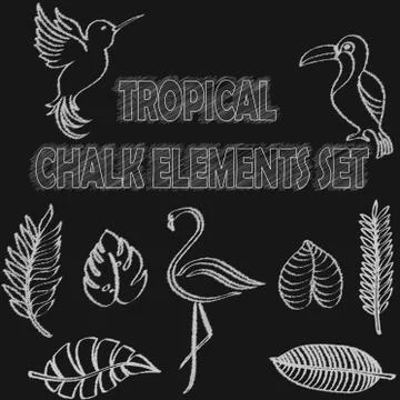Tropical chalk elements collection Stock Illustration