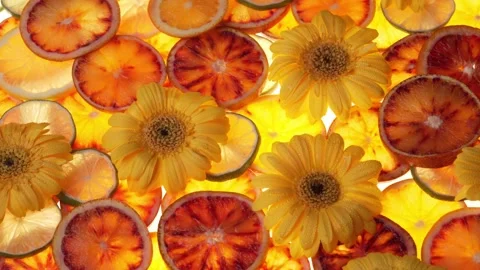 Tropical Citrus Flat Lay: Composition of Fruits, Leaves, and Floral Elements on Stock Footage 241494561