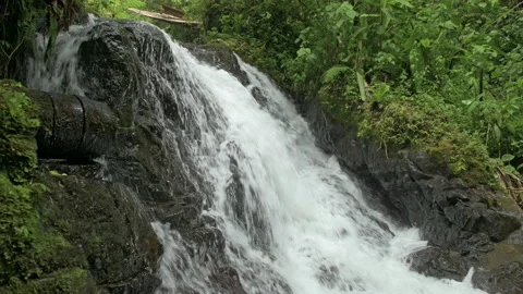 Tropical cloud forest with waterfall, La Amistad International Park Stock Footage 181130557