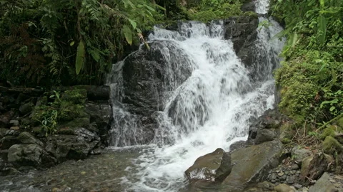 Tropical cloud forest with waterfall, La Amistad International Park Stock Footage 181131118