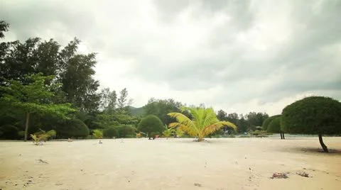 Tropical cloudy day Video stock 22009653