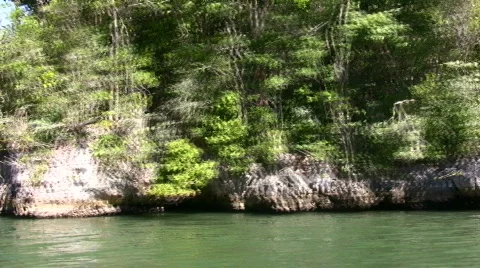 Tropical coastline Video stock 308649