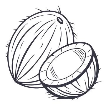 Tropical Coconut Fruit Flat Vector Illustration Stock Illustration