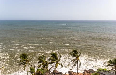 Tropical Coconut Palms Frame an Elevated View of the Choppy Arabian Sea Stock Photos