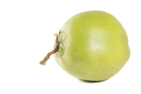 Tropical Coconut Stock Photos