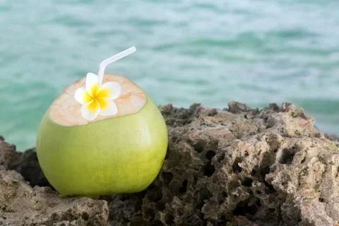 Tropical Coconut Refreshment Stock Photos