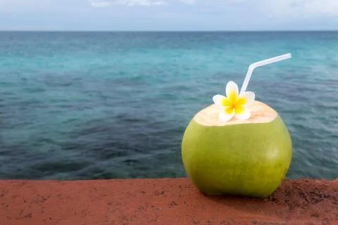 Tropical Coconut Refreshment Foto stock