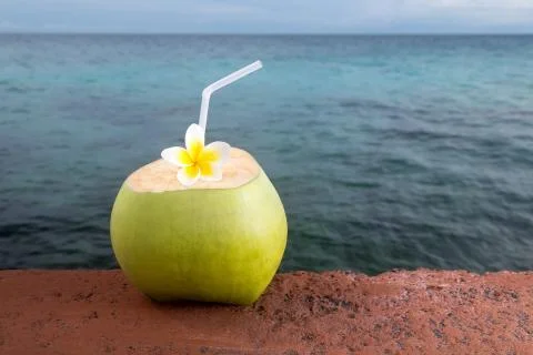 Tropical Coconut Refreshment Stock Photos
