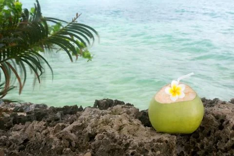 Tropical Coconut Refreshment Foto stock