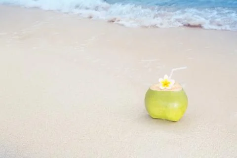 Tropical Coconut Refreshment Stock Photos