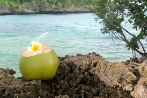 Tropical Coconut Refreshment Stock Photos