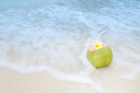 Tropical Coconut Refreshment Stock Photos