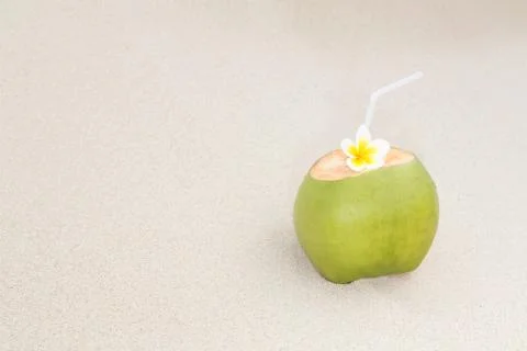 Tropical Coconut Refreshment Stock Photos