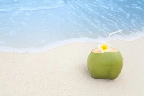 Tropical Coconut Refreshment Stock Photos