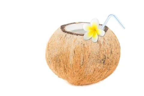 Tropical Coconut Refreshment Stock Photos
