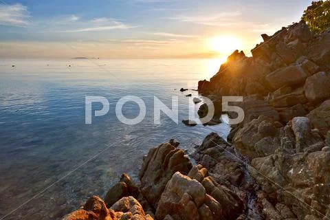 Tropical colorful sunset. Stock Photos