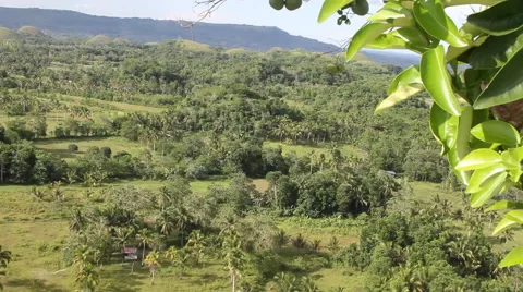 Tropical countryside from high angle Stock Footage 39980269