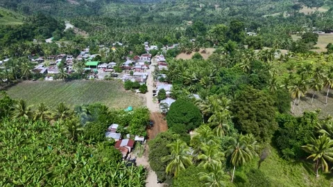 Tropical Countryside Settlement Surrounded by Palm Groves Stock Footage 326094558