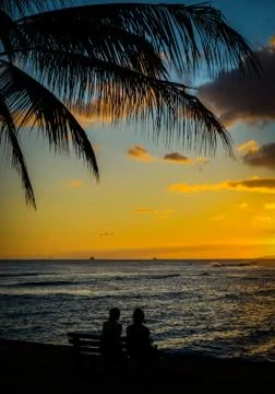 Tropical couple at sunset Stock Photos