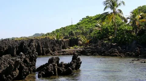 Tropical Cove 스톡 동영상 12150632