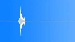 Tropical Dawn Chorus RecordedSound Effect