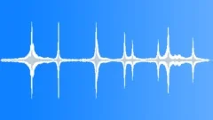 Tropical Dawn Chorus RecordedSound Effect