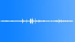 Tropical Dawn Chorus RecordedSound Effect