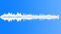 Tropical Dawn Chorus RecordedSound Effect