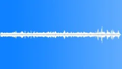 Tropical Dawn Chorus RecordedSound Effect
