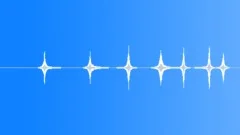Tropical Dawn Chorus RecordedSound Effect