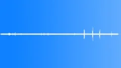 Tropical Desert Shrub Summer Sound Effect