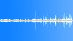 Tropical Desert Shrub Summer Sound Effect