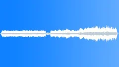 Tropical Desert Shrub Summer Sound Effect