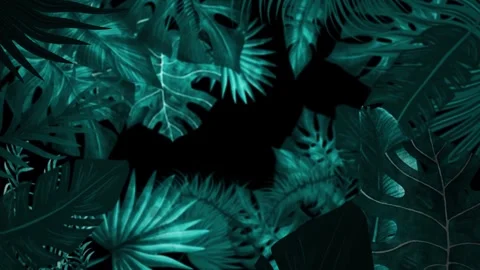 Tropical design Beautiful plants loop animation background in 4k Stock Footage 273682222