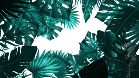 Tropical design Beautiful plants loop animation background in 4k 動画素材 273682241
