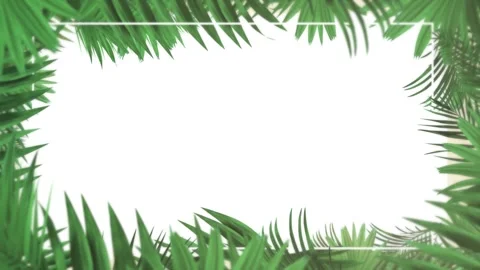 Tropical design Beautiful plants loop animation background in 4k Stock Footage 273682406