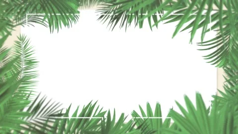 Tropical design Beautiful plants loop animation background in 4k Stock Footage 273682452
