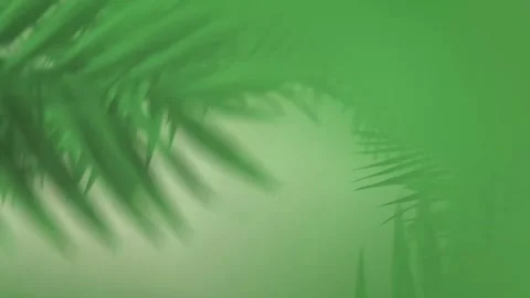 Tropical design Beautiful plants loop animation background in 4k Stock Footage 273682583