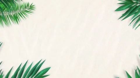 Tropical design Beautiful plants loop animation background in 4k Stock Footage 273683135