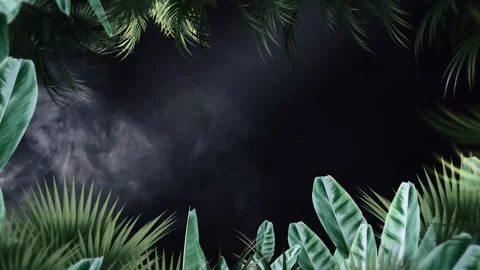 Tropical design Beautiful plants loop animation background in 4k Stock Footage 275865810