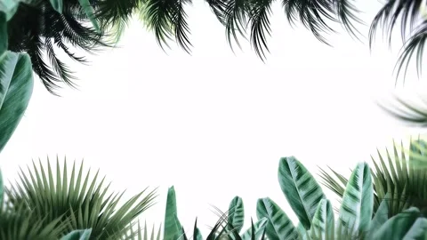 Tropical design Beautiful plants loop animation background in 4k Stock Footage 275865813
