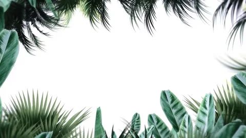Tropical design Beautiful plants loop animation background in 4k Stock Footage 275865838