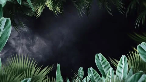 Tropical design Beautiful plants loop animation background in 4k Stockbeeldmateriaal 275865846