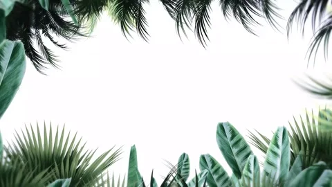 Tropical design Beautiful plants loop animation background in 4k Stock Footage 275865872