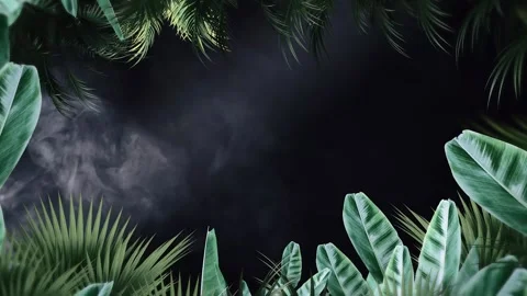 Tropical design Beautiful plants loop animation background in 4k Stock Footage 275865887