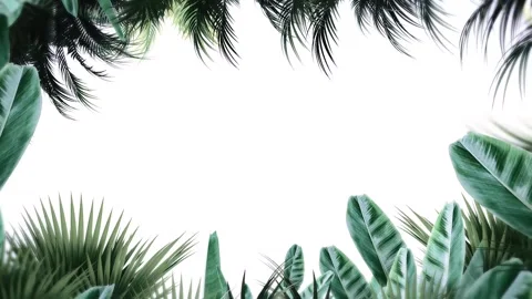 Tropical design Beautiful plants loop animation background in 4k Stock Footage 275865894