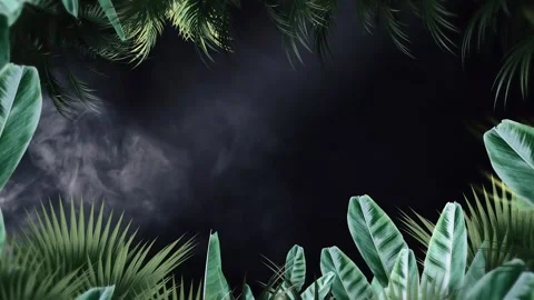 Tropical design Beautiful plants loop animation background in 4k Stock Footage 275865896
