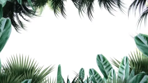 Tropical design Beautiful plants loop animation background in 4k Stock Footage 275865898