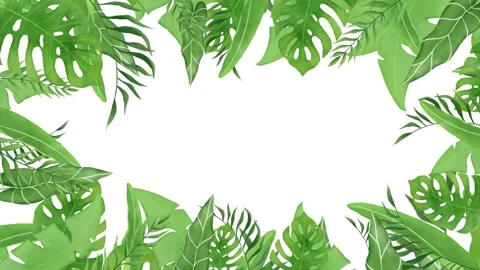 Tropical design Beautiful plants loop animation background in 4k Stock Footage 275866644