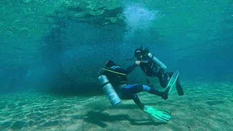 Tropical Diving Adventure: Exploring a Massive Fish Swarm in the Shallows Stock Footage 331400457